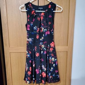 Express Floral Dress